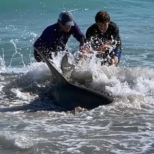 Meet your Posher, Austin